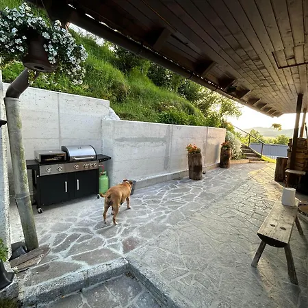 Gric With Sauna Apartament