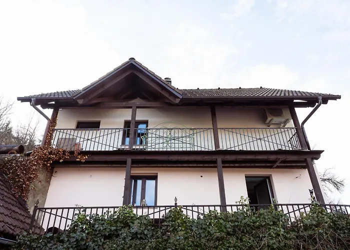 Gric With Sauna Apartament