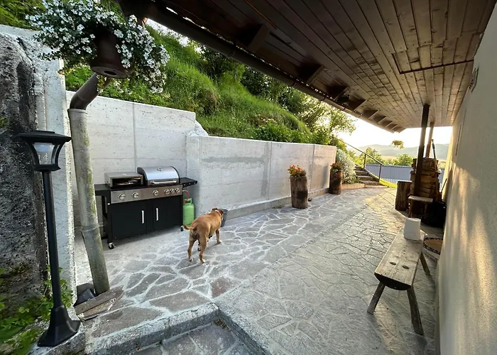 Gric With Sauna Apartament